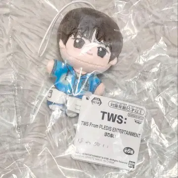 TWS From PLEDIS ENTERTAINMENT 화완이 경민