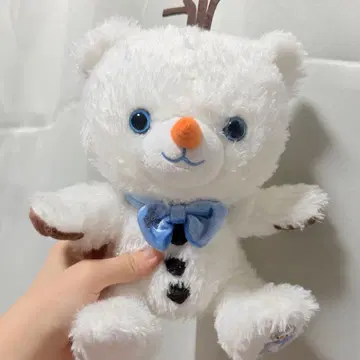 유니베어시티 코슈 올라프 안나