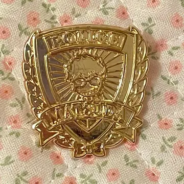 명탐정 코난 할로윈의 신부 경찰 핀즈 마츠다 진페이 하이웨이의 타락천사