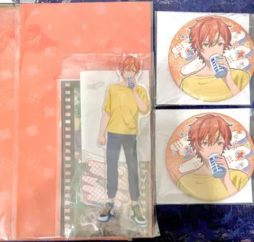 프로세카 하피콜 복권 티켓 홀더 아크릴 스탠드 캔뱃지 시노노메 아키토