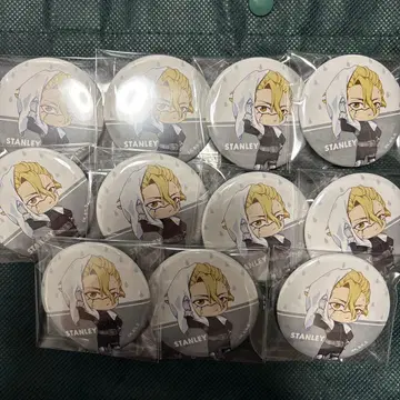 Dr.STONE 스탠리 레이니데이 캔뱃지 SD