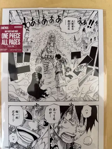 새상품 ONE PIECE baseshop ALL PAGES 도플라밍고