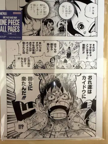 원피스 베이스 샵 올 페이지 루피