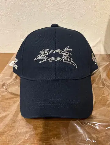 BACK to BACK 캡 RIP SLYME DRAGON ASH