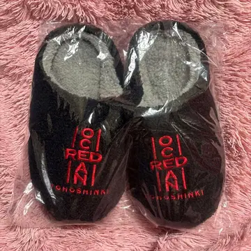 동방신기 RED OCEAN 닛산 스타디움 프리미엄 시트 굿즈 슬리퍼