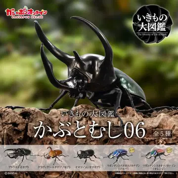 생물대도감 딱정벌레 06 온라인판 컴플리트 미개봉 새상품