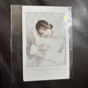 후리 ROJITA 폴라로이드