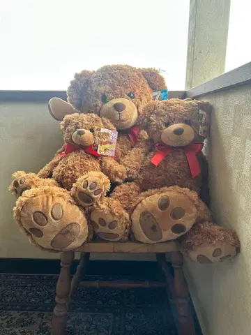 봉제 인형 3마리 세트 TEDDY BEAR 곰