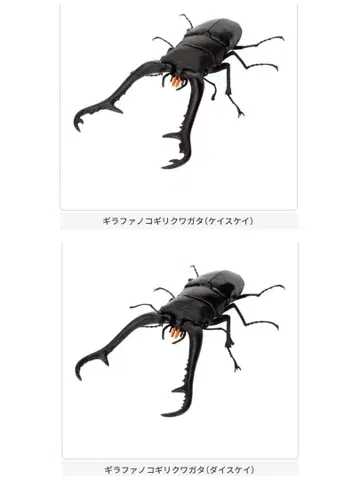 새상품 미개봉 케이스케이 다이스케이 장수풍뎅이 11 생물대도감 온라인판