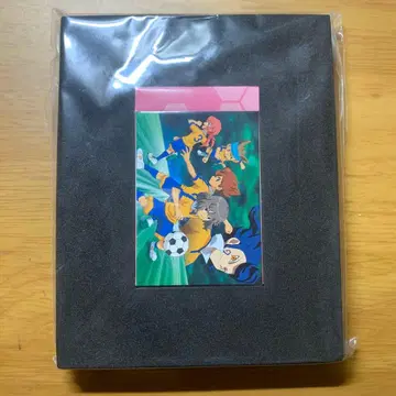 이나즈마 일레븐 GO 카드놀이