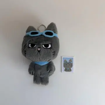 BOYNEXTDOOR 푸넥도 테산 한정판 키링 보넥도