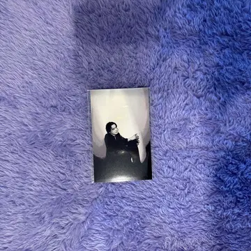 사쿠라기 마사야 개인전 축제