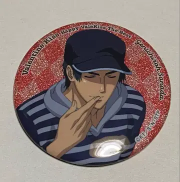 신 테니스의 왕자님 신테니 테니프리 발렌타인 키스 발키스 캔뱃지 사나다