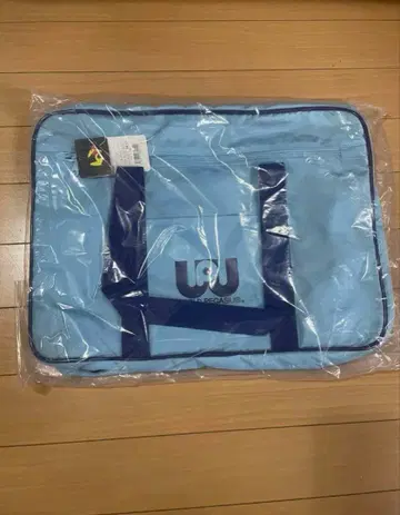 최저가 월드 페가수스 스카이블루 스쿨백 와페 구형