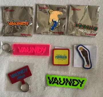 VAUNDY 핀 배지 키링 등 세트