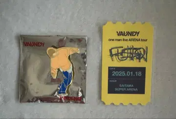 VAUNDY VAWS 복권 B상 핀 배지