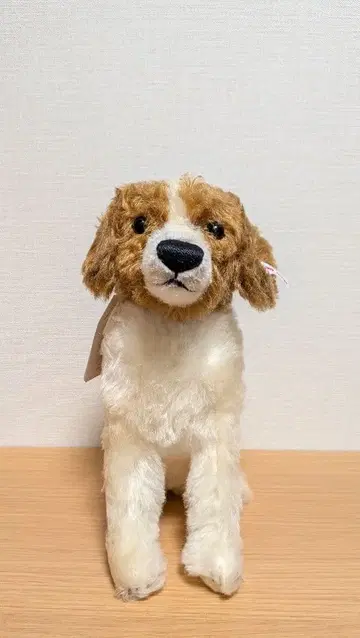 슈타이프 Steiff 봉제 인형 코이켈혼디에