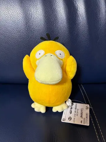 포켓몬스터 여러 가지 얼굴 봉제 인형 코닥