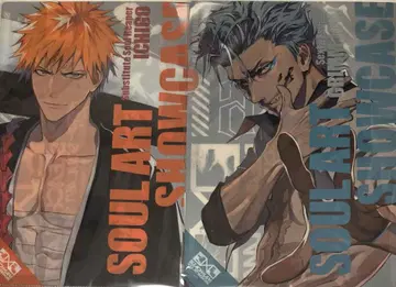 BLEACH LAM 클리어 파일 쿠로사키 이치고 그림죠