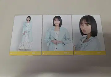 노기자카46 브로마이드 컴프 파스텔 코트 엔도 사쿠라