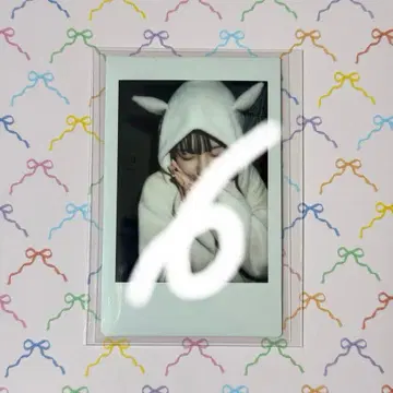 사쿠라바 하루카 파루탄 폴라로이드