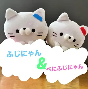 초레어 베니후지냥 후지냥 코로코로냥코 고토치 후지산 야마나시