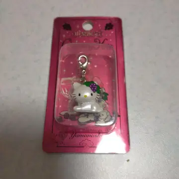 챠미키티 지역 한정 참