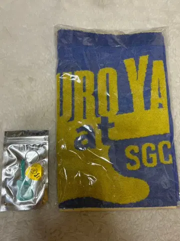 새상품 야마시타 타츠로 SGC HALL ARIAKE 키링 & 타월