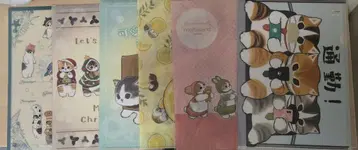 모프 샌드 mofusand 클리어 파일 묶음 판매