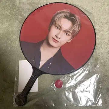 SEVENTEEN POWER OF LOVE 준 부채