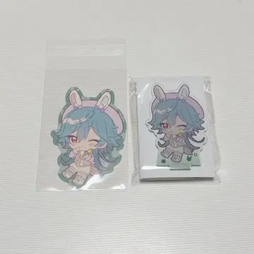 앙스타 애니카페 라이카세트