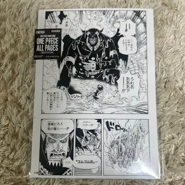 원피스 베이스샵 올 페이지 마젤란