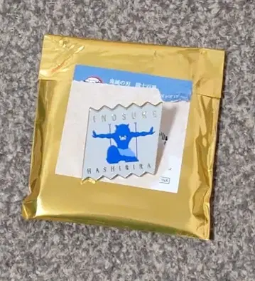 귀멸의 칼날 대사백경 컬렉션 핀즈 하시비라 이노스케 공간 인식