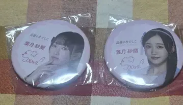 타카네노 나데시코 하즈키 사라 캔 배지 세트