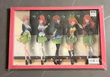 5등분의 신부 사쿠라 사쿠 아크릴 스탠드 2개 세트