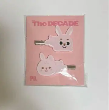 DAY6 데이식스 the decade 헤어 클립 데니멀즈 원필