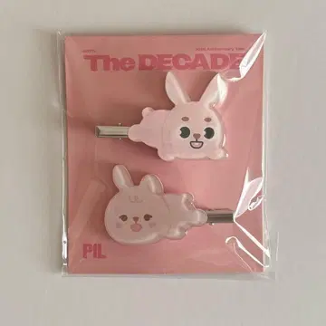 DAY6 데이식스 the decade 헤어 클립 데니멀즈 원필