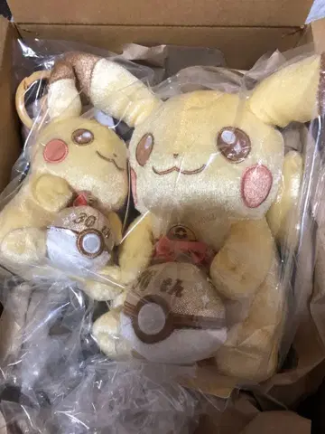 피카츄 30주년 기념 봉제 인형 세트