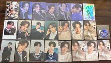 TWS 영재 트레이딩 카드 묶음 판매