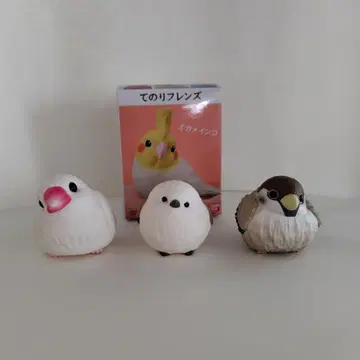 초대(not 1R) 테노리 프렌즈 오카메앵무 시마연가 참새 문조