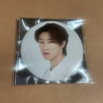 세븐틴 떨어지는 꽃잎 HMV 캔뱃지 디에잇