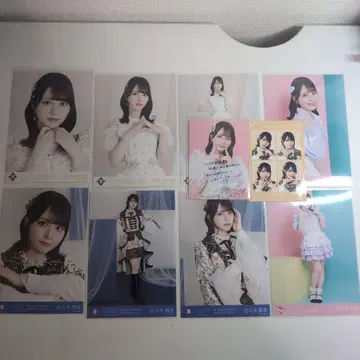 사사키 마이카 굿즈 모음 세트