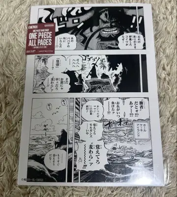 ONE PIECE BASE SHOP ALL PAGES 레베리 편