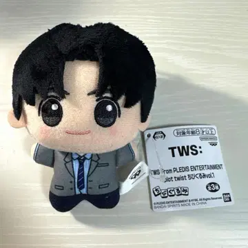 TWS SD 인형 한진