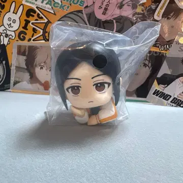 윈브레전 WIND BREAKER 리라코로 사코 코타