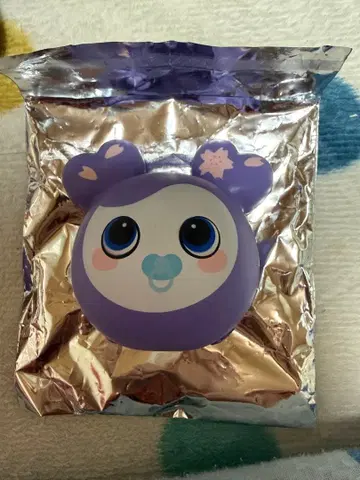 THIS IS FOR TWICE 사나 사브리 C상 스퀴즈