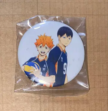 하이큐 특전 캔뱃지 히나타 쇼요 카게야마 토비오