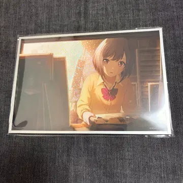 프로세카 하피콜 아크릴 색지 에나 A 2