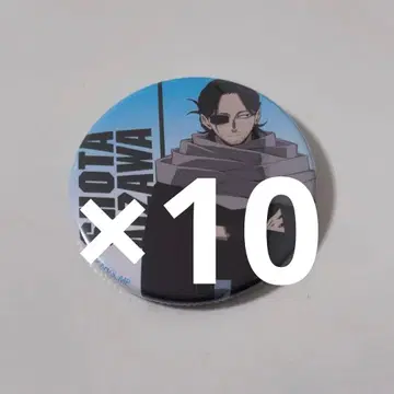 나의 히어로 아카데미아 아이자와 쇼타 아우터ver. 10개