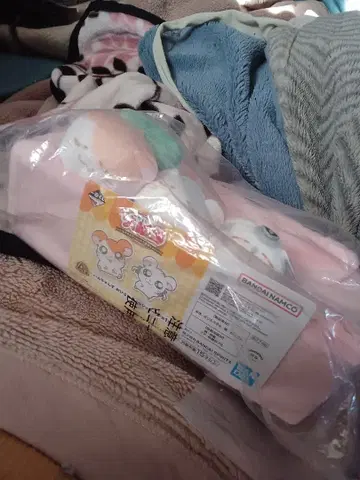 두기두기 햄스터 1번 복권 A상 티슈 케이스